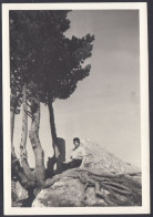 Uomo Seduto Sotto Albero Tra Le Dolomiti - 1950 Fotografia Vintage - Places