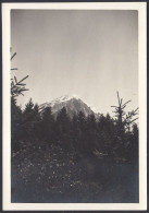 Dolomiti - Dettaglio Catena Montuosa Da Identificare - 1950 Foto Vintage - Places