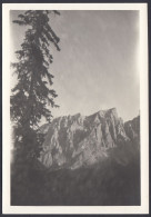 Dolomiti - Dettaglio Catena Montuosa - 1950 Fotografia Vintage - Places