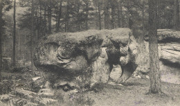 77186 01 72#0 - FORÊT DE FONTAINEBLEAU - L'ELEPHANT - Fontainebleau