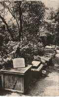 AA+ 120-(92) ASNIERES - LE CIMETIERE DES CHIENS - LE MONUMENT DE " RIN TIN TIN " - Asnieres Sur Seine