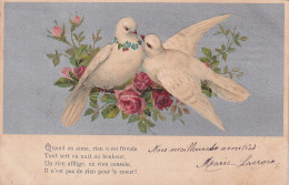 AA+ 129- CARTE FANTAISIE GAUFREE - COUPLE DE COLOMBES SUR BRANCHES DE ROSES - Autres & Non Classés