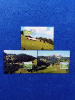 LIECHTENSTEIN MI-NR. 1451-1453 MAXIMUMKARTEN 272 WEIDEALPEN (III) 2007 - Maximumkarten (MC)