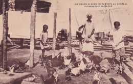 AA+ 131- LES SOEURS BLEUES DE CASTRES AU SENEGAL - LA BASSE COUR DE DAKAR - Senegal