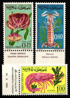 Marokko 553-555 Postfrisch #KX260 - Marocco (1956-...)