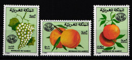 Marokko Portomarken 37-39 Postfrisch #KX330 - Morocco (1956-...)