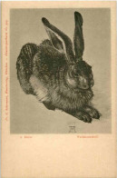 Hase - Rabbit - Sonstige & Ohne Zuordnung