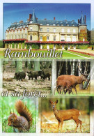 *CPM  -78 - RAMBOUILLET - Et Sa Forêt - Multivues - - Rambouillet