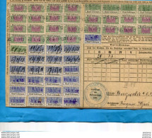 ALSACE LORRAINE-*Carte De Cotisation 1913- 53+tmbres Socio Pofessionnels Grosse Cote - Lettres & Documents