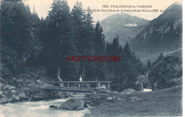 CPA PRALOGNAN LA VANOISE - LE PONT DE CHOLLIERE - Pralognan-la-Vanoise