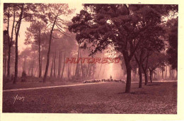 CPA HOSSEGOR - TROUPEAU DE MOUTONS DANS LA FORET - Hossegor