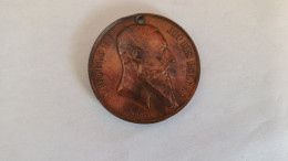 Médaille Médaillle Exposition Internationale 1880 Leopold II  Trouée - Otros & Sin Clasificación