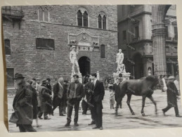 Italia FIRENZE 1964 Uomo Con Cavallo - Asia