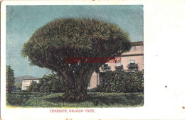 CPA TENERIFE - DRAGON TREE - Tenerife