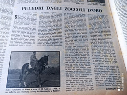 IL CAMPIONE 1958 BOLGHERI CHIESUOLA MONTESILVANO CLETO - Otros & Sin Clasificación