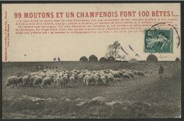 "99 Moutons Et Un Champenois Font 100 Bêtes!" Ed. S. Brunclair, Troyes - Andere & Zonder Classificatie