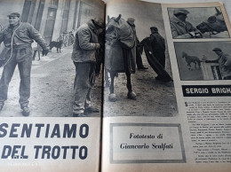 IL CAMPIONE 1958 SERGIO BRIGHENTI FANTINO CASTELNUOVO DI SOTTO LUCIA BOSE’ DOMINGUIN - Autres & Non Classés