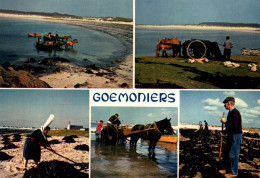 CPM - GOÉMONIERS De BRETAGNE - Ramassage Du Goémon Et épandage Sur La Côte Pays Bigouden - Edition Jos Le Doaré - Fischerei