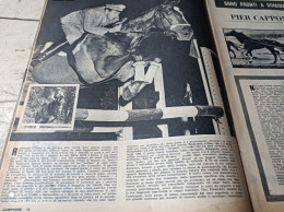 IL CAMPIONE 1958 RAIMONDO D’INZEO EQUITAZIONE CASTELLARO DE’ GIORGI ELVIS PRESLEY JULIETTE GRECO - Otros & Sin Clasificación