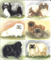 AB98 - SERIE 6 CARTES FORMAT 6 X 7.8 CM - IMPERIAL DOG COLLECTION - PEKINOIS - Sonstige & Ohne Zuordnung