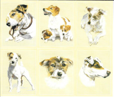 AB92 - SERIE 6 CARTES FORMAT 6 X 7.8 CM - PERIKIM CARDS CHIENS  - JACK RUSSELL - Sonstige & Ohne Zuordnung