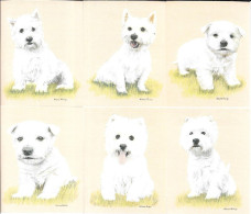 AB93 - SERIE 6 CARTES FORMAT 6 X 7.8 CM - IMPERIAL DOG COLLECTION CHIENS - WEST HIGHLAND - Sonstige & Ohne Zuordnung