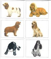 AB94 - SERIE 6 CARTES FORMAT 6 X 7.8 CM - IMPERIAL DOG COLLECTION CHIENS - COCKER - Other & Unclassified