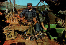 CPM - RETOUR De PÊCHE (Scène Pêcheurs De Homards) - Edition Artaud - Fishing