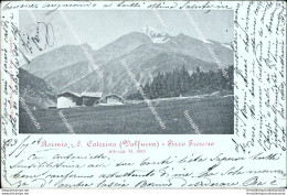 Bs47 Cartolina  Bormio S.caterina Valfurva Pizzo Tressero 1904 Sondrio Lombardia - Sondrio