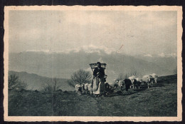 Postcard - Circa 1905 - Woman With Basket Herding Sheep - Femmes