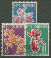 Albanien 1961 Blumen 633/35 Gestempelt - Albanie