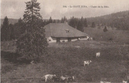 LE HAUT JURA  Chalet De La Dôle - Other & Unclassified