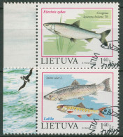 Litauen 1998 Gefährdete Fische: Renke, Atlantischer Lachs 671/72 Gestempelt - Litauen