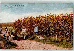 39351806 - Form Of Farmer Chinese - China