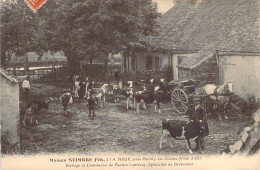 Elevage Et Commerce De Vaches Laitières Bretonnes Stimbre Fils à La Neuf Près De Pouilly En Auxois Côte D'Or - Sonstige & Ohne Zuordnung