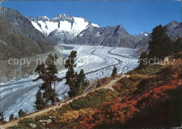 11885901 Aletschgletscher Mit Riederalp Bettmeralp Wannenhorn Aletschwald Aletsc - Autres & Non Classés