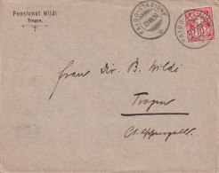 1894-1906 Schweiz, Brief  Zum:CH 61B, Mi:CH 54y, Ziffermuster, FAIDO-STAZIONE, Pensionat Wildi Trogen - Cartas & Documentos