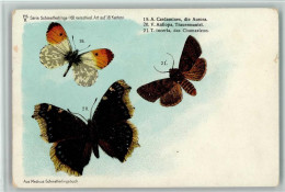13023206 - Schmetterlinge Aus Medicus - Vlinders