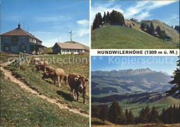 11881074 Hundwilerhoehe Berggasthaus Kuehe Hundwiler Hoehe - Other & Unclassified