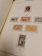 Falkland 1953 - 1994 MNH In KABE Albumpostfris ** - Collezioni (in Album)