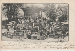 GRUSS AUS HOMBOURG V  D  ELISABETHEN BRUNNEN EN 1904 - Bad Homburg