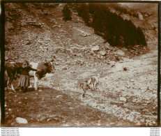 ALPES FRANCE OU   SUISSE  COUPLE ET LEUR BETE 1900 PHOTO ORIGINALE 13 X 10 CM   J8 - Orte