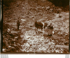 ALPES FRANCE OU   SUISSE  COUPLE ET LEUR BETE 1900 PHOTO ORIGINALE 13 X 10 CM   J7 - Orte