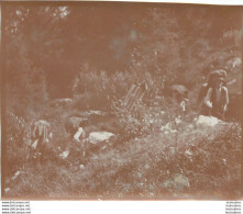 ALPES FRANCE OU SUISSE  HOMMES AVEC SACS AU DOS 1900 PHOTO ORIGINALE 13 X 10 CM   Me15 - Orte