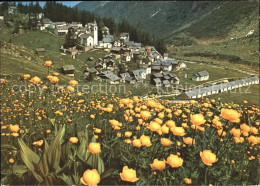 11880181 Bosco Gurin Gesamtansicht Blumenwiese Bosco/Gurin - Autres & Non Classés