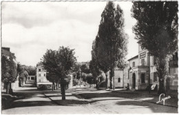 CPSM DE MARNES-LA-COQUETTE  (HAUTS DE SEINE)  LA MAIRIE ET LA PLACE - Autres & Non Classés