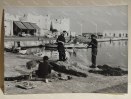 Italia Foto Sailors Pescatori MOLA DI BARI 1965 - Europe