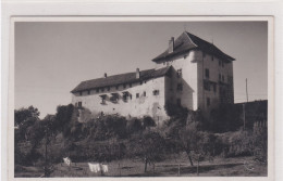 Attalens. Le Château. Carte-photo - Attalens