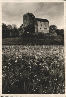 11879112 Bad Schinznach Schloss Habsburg Schinznach Bad - Autres & Non Classés