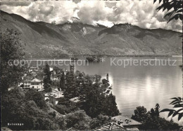 11878763 Brissago TI Hote Du Myrte Brissago - Andere & Zonder Classificatie